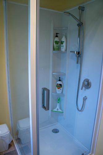 a shower with a glass door in a bathroom at Minffordd Cottage in Feilding