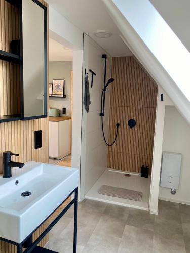 a bathroom with a shower and a white sink at Ferienwohnung Weitblick in Bad Schussenried