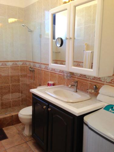 a bathroom with a sink and a toilet and a mirror at Cita del Sol City Apartments in Cabarete