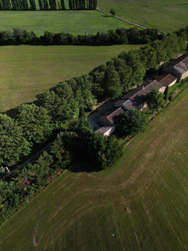 an overhead view of a row of trees in a field at A charming Provençal farmhouse in Mouriès