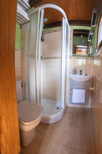 a bathroom with a shower and a toilet and a sink at El Mirador in Cudillero