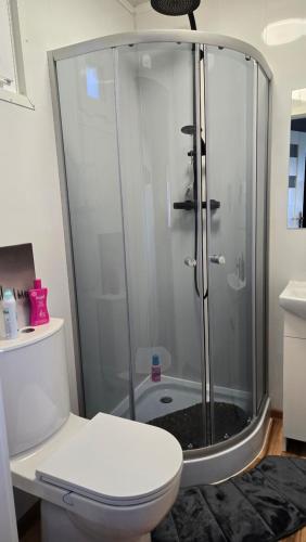 a bathroom with a shower and a white toilet at Tiny House mit Fernblick in Verditz