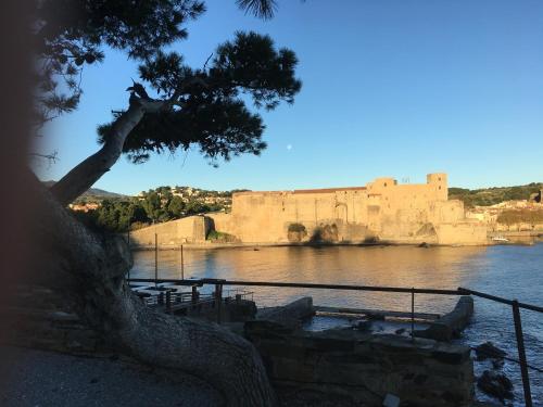 Φυσικό τοπίο κοντά σε αυτό το διαμέρισμα