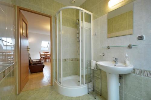 a bathroom with a shower and a sink at Agroturystyka Nad Hańcza - apartament in Błaskowizna