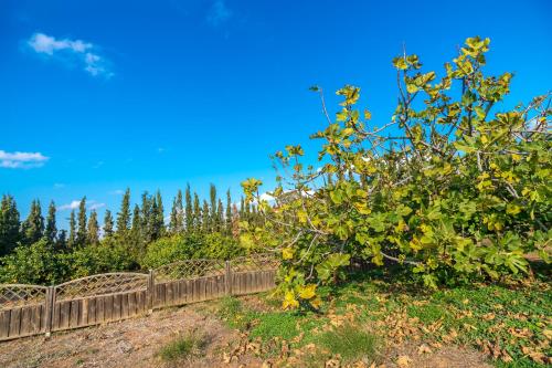 a fence with a tree in the background at Legrena Beach Villa in Sounio