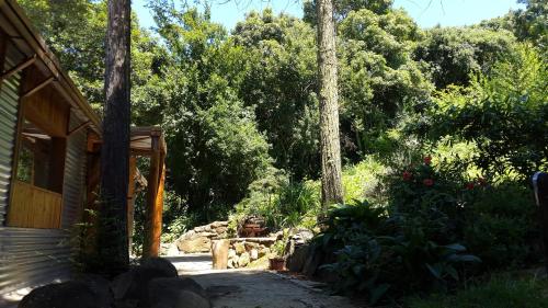 Ein Garten an der Unterkunft Evergreen Cabin Karkloof