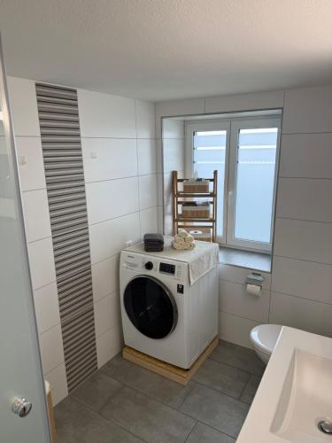a washing machine in a bathroom with a sink at Ferienwohnung Edelweiss in Wolfhalden 
