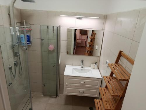 a bathroom with a shower and a sink and a mirror at Desert Fikus in Beʼer Ora