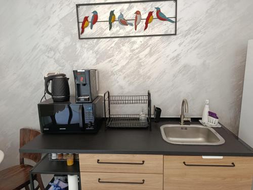 a kitchen counter with a microwave and a sink at Desert Fikus in Beʼer Ora