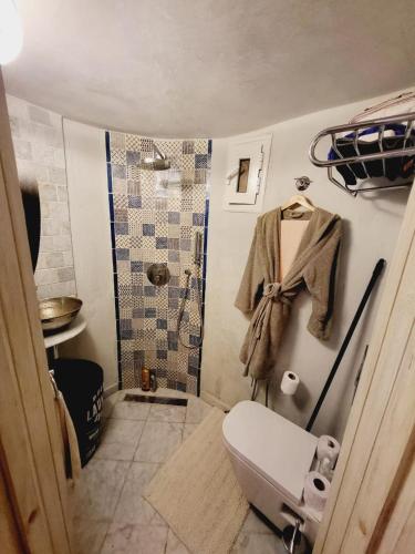 a small bathroom with a toilet and a shower at Mediterranean Breeze Studio in Sidi Bou Saïd