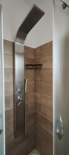a shower with a glass door in a bathroom at DENIA'S HOME in SantʼEufemia Lamezia