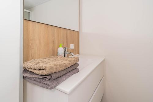 a bathroom with a sink with towels on a counter at Buitenplaats Hotel met terras, studio in Ellemeet