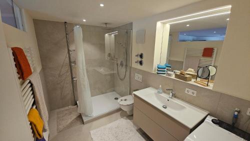 a bathroom with a shower and a toilet and a sink at Ihre exklusive Auszeit im Allgäu in Scheidegg