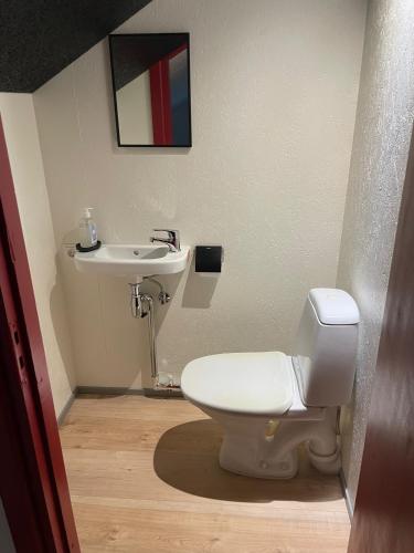 a bathroom with a toilet and a sink at Paatsalu Sadam in Paatsalu