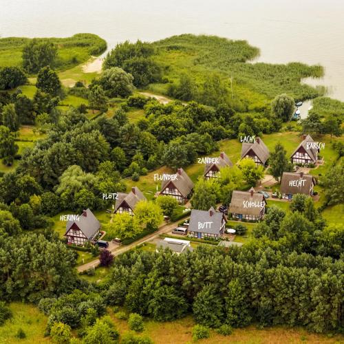 an aerial view of a house on a hill with trees at Fischerhäuser in Quilitz in Quilitz