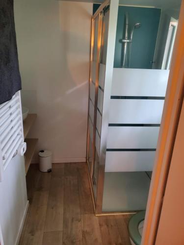 a bathroom with a shower and a toilet and a sink at Les chalets du Causse Confort Climatisé in Gelle