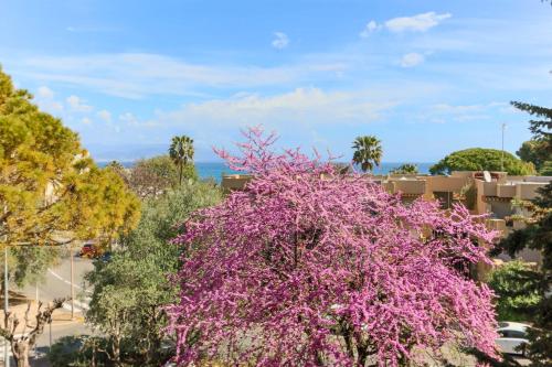 Beautiful flat with Sea View Terrace Pool Parking portative AC- BENAKEY photo 19