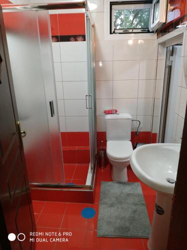 a bathroom with a shower and a toilet and a sink at Rodi Home in Sotíra