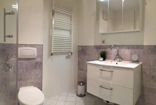 a bathroom with a toilet and a sink at Ferienwohnung Strandgut im Ostseebad Baabe in Baabe