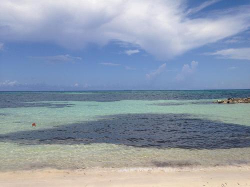 a beach with a large body of water at Seacastles by the beach/pool in Montego Bay