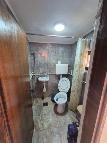 a bathroom with a toilet and a sink at Vikendica Bagremov hlad Apatin in Apatin
