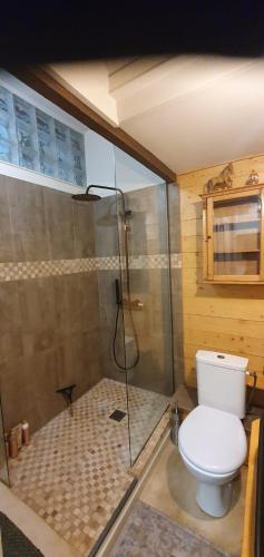 a bathroom with a toilet and a shower at Appartement Saint Antoine 2 in Toulon-sur-Arroux