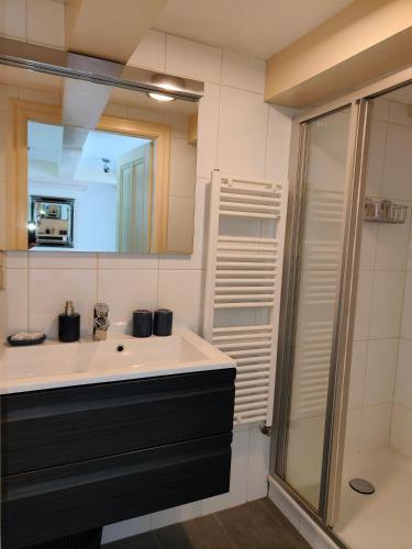a bathroom with a sink and a mirror and a shower at The Blue Stairs in Amsterdam