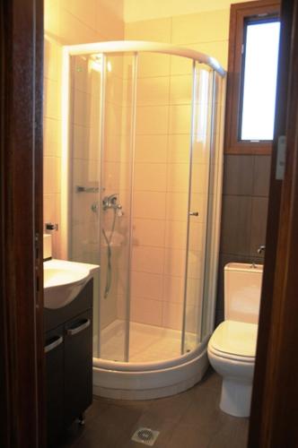 a bathroom with a shower with a toilet and a sink at Guesthouse Thea in Naousa