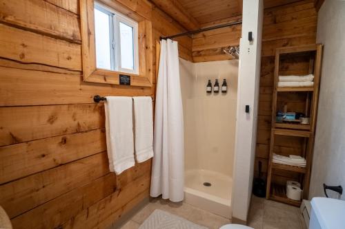 a bathroom with a wooden wall and a shower at Hatcher Pass Cabins in Palmer