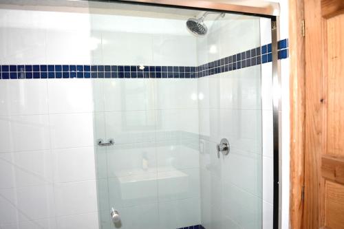 a bathroom with a shower with a glass door at Cabañas el Chalet in Morelia