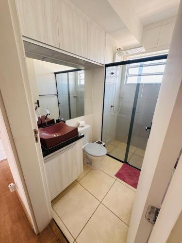 a bathroom with a toilet and a sink and a shower at Cavalheris House - Rota das Vinícolas in Espirito Santo Do Pinhal