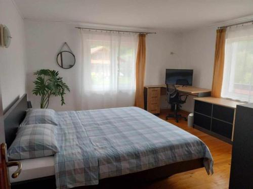 a bedroom with a bed and a desk and a computer at Casa Ionela nr 13- Complex de pensiuni si Casute la Munte in Ceahlău