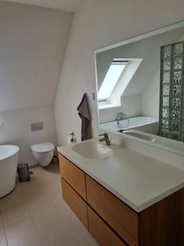 a bathroom with a sink and a mirror and a toilet at Nybo House in Præstø