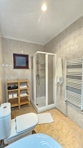 a bathroom with a shower and a white toilet at 2 Hermanas 2 in Cudillero