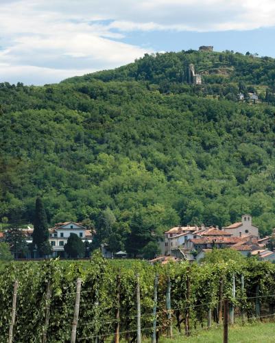 a town on a hill with a bunch of vines at Villa Felcaro - Relais, Lodge & Restaurant in Cormòns