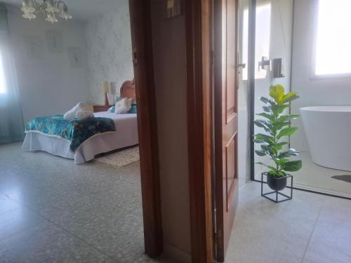 a bedroom with a bed and a potted plant at A Casa De Lucha in Meis
