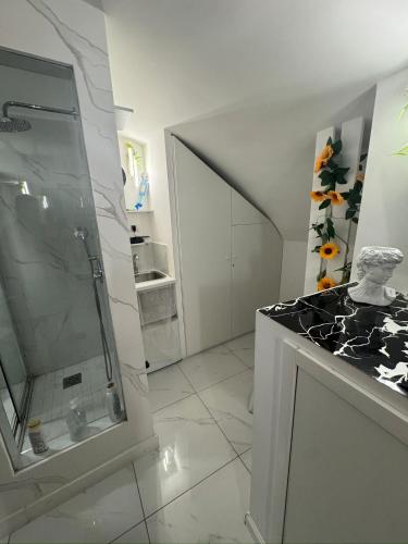 House Luxury Toto