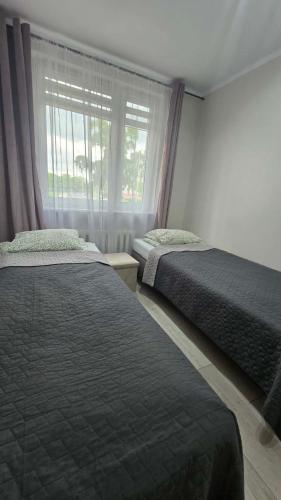 a bedroom with two beds and a window with at Via VOLTA 2025 Refresh 2 Bedroom Apartment in Płock