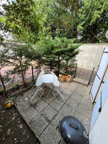 a dog is standing next to a table and a dog at Chambre confortable in Saint-Maur-des-Fossés