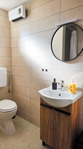 a bathroom with a sink and a mirror and a toilet at Apartman DIVAN in Ladimirevci