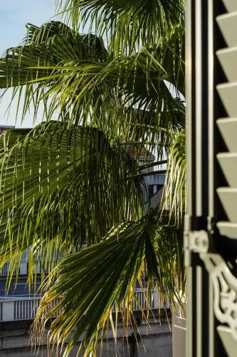 Villa Pruly Hotel Cannes Centre photo 106