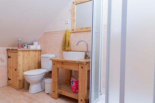 a bathroom with a toilet and a sink at Apartmán Marie in Mutěnice