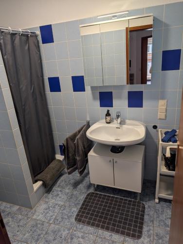 a bathroom with a sink and a shower at Apartment37671 in Höxter
