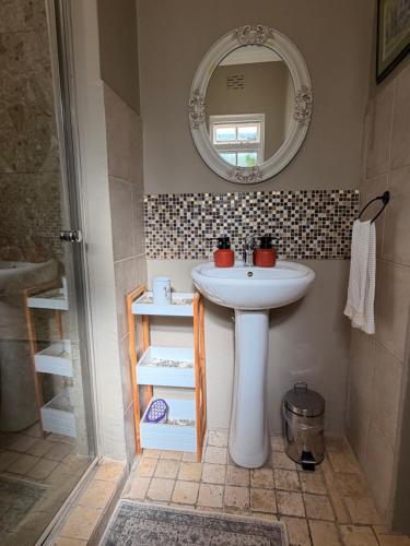 a bathroom with a sink and a mirror at Almond Cottage Bed & Breakfast in Somerset West