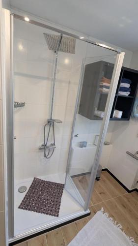 a shower with a glass door in a bathroom at Ferienhaus Hilde in Steinwiesen