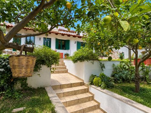 Gallery image of Perivolakia Garden View - Rafina Stay near Airport in Rafina