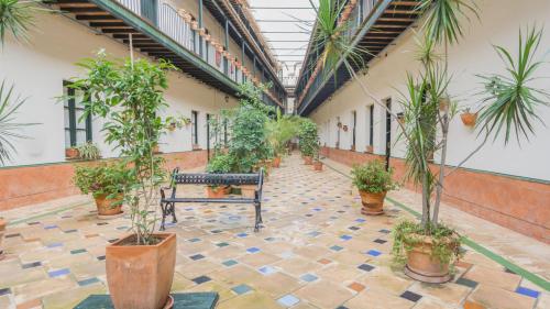 RentalSevilla Lumbreras II