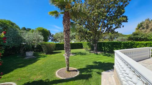 Seafront house Novigrad, Villa Mare Oliva, Istria