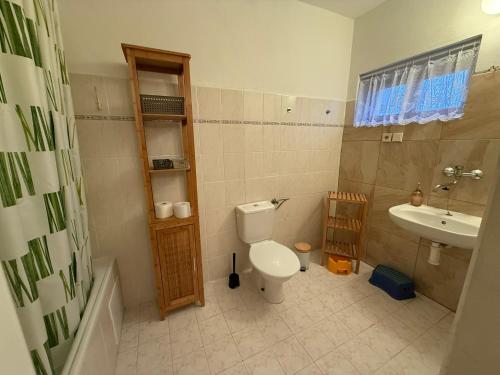 a bathroom with a toilet and a sink at Chalupa V soukromí - Chřibská in Chřibská