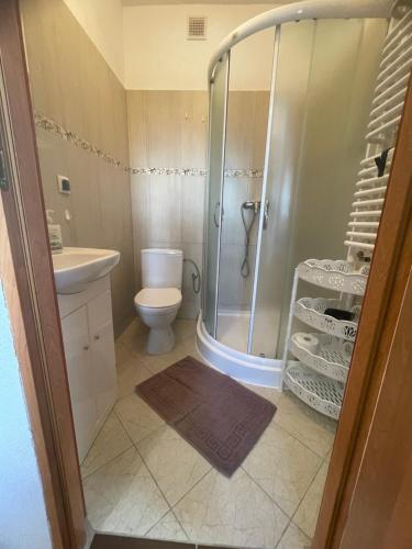 a bathroom with a shower and a toilet and a sink at Agroturystyka Świt dobry in Strzebowiska